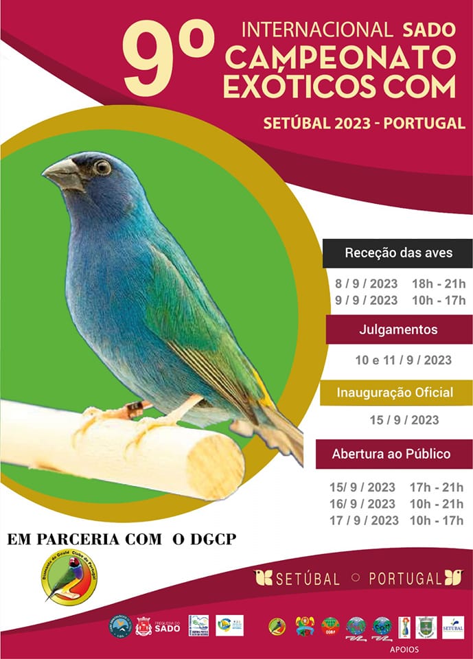 9º Internacional Sado 2023, Setúbal, Portugal